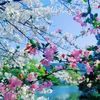 l_liang